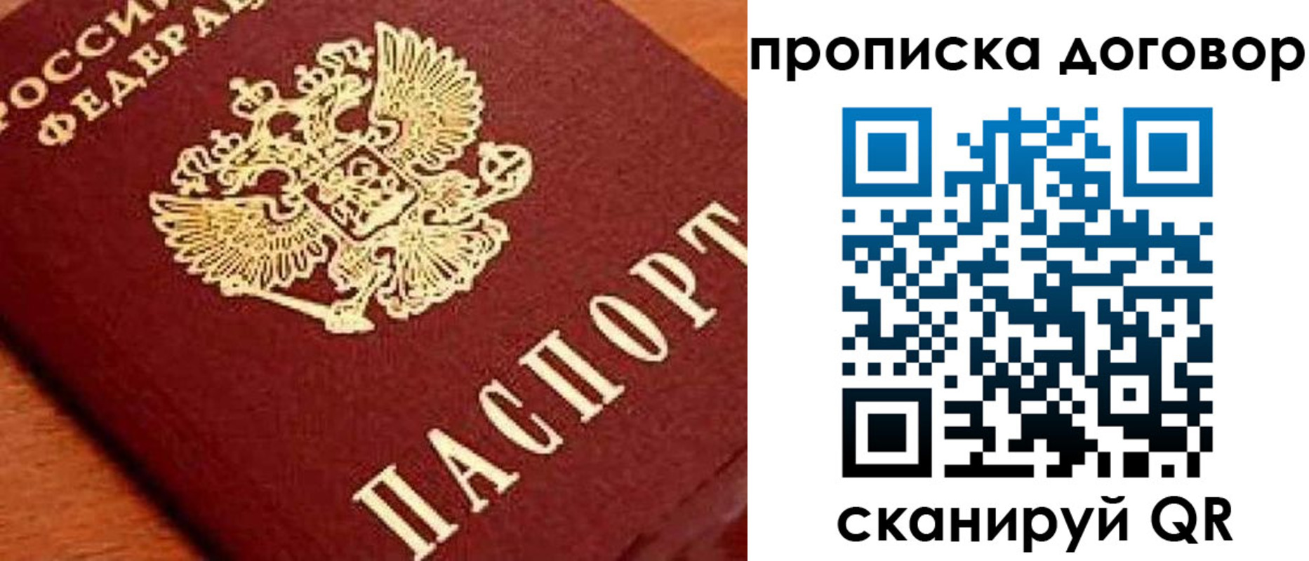 прописка поиск в Гаджиево